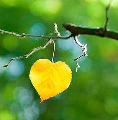 پروفایل پاییزی عاشقانه دونفره