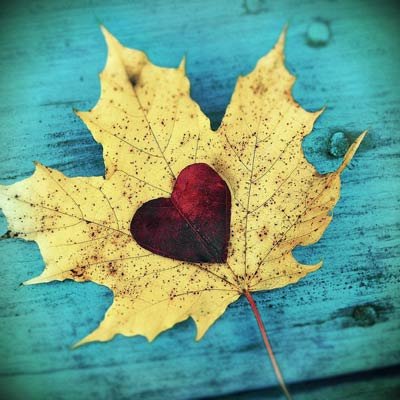 پروفایل پاییزی عاشقانه دونفره