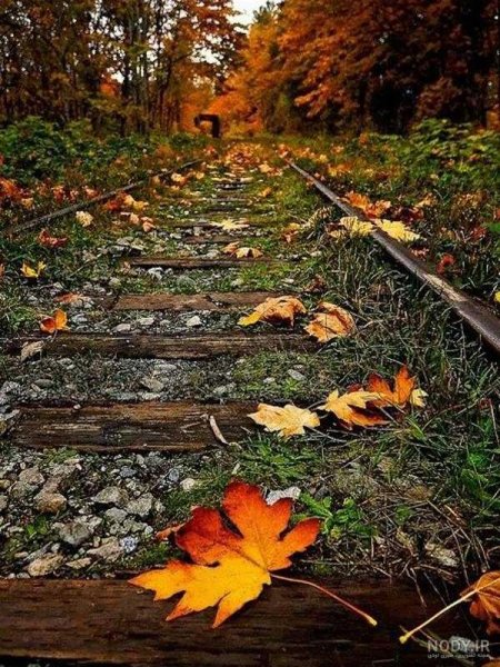  پروفایل پاییزی عاشقانه دونفره