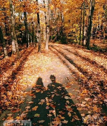  پروفایل پاییزی عاشقانه دونفره