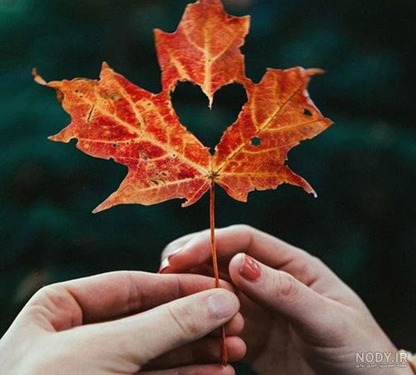  پروفایل پاییزی عاشقانه دونفره