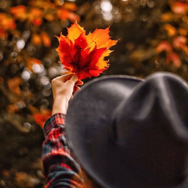  پروفایل دختر پاییز