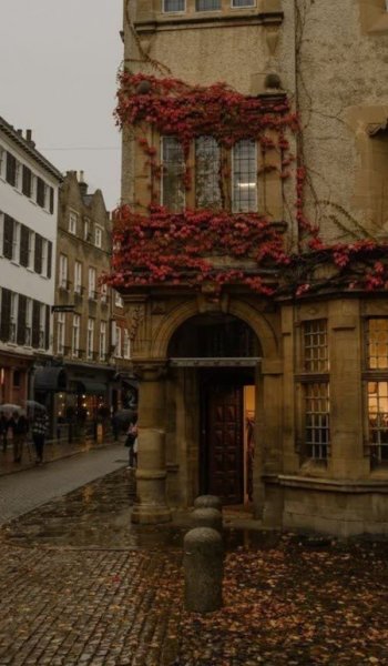  پروفایل دختر پاییزی بدون متن