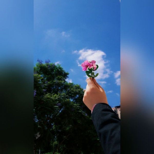  جدیدترین عکس پروفایل دخترونه