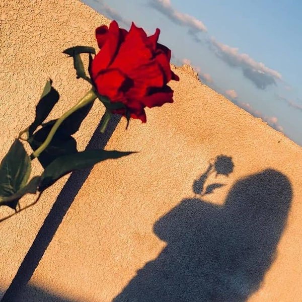 عکس پروفایل زنانه جذاب