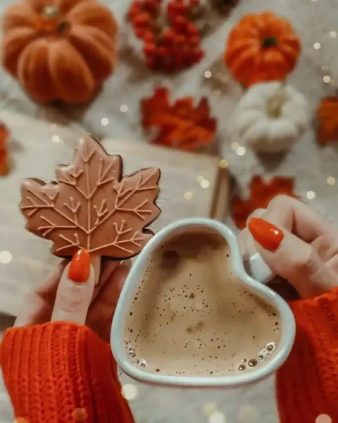  عکس ماگ پاییزی