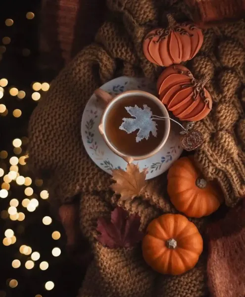  عکس ماگ پاییزی