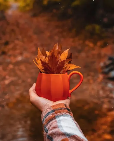  عکس ماگ پاییزی