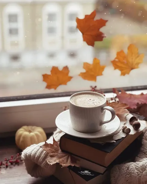  عکس ماگ پاییزی