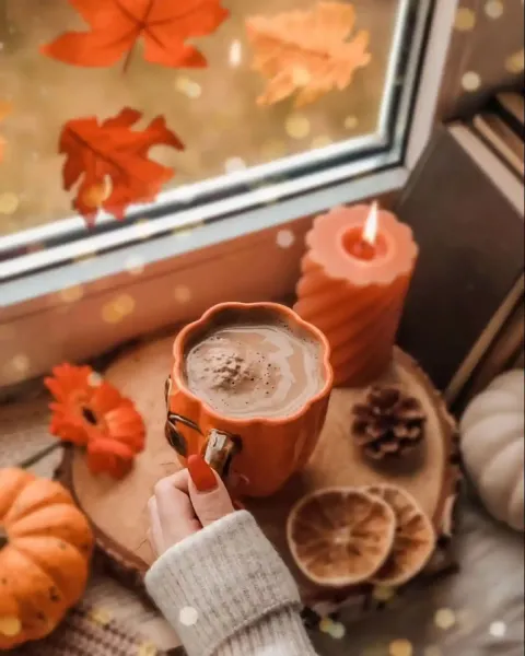  عکس ماگ پاییزی