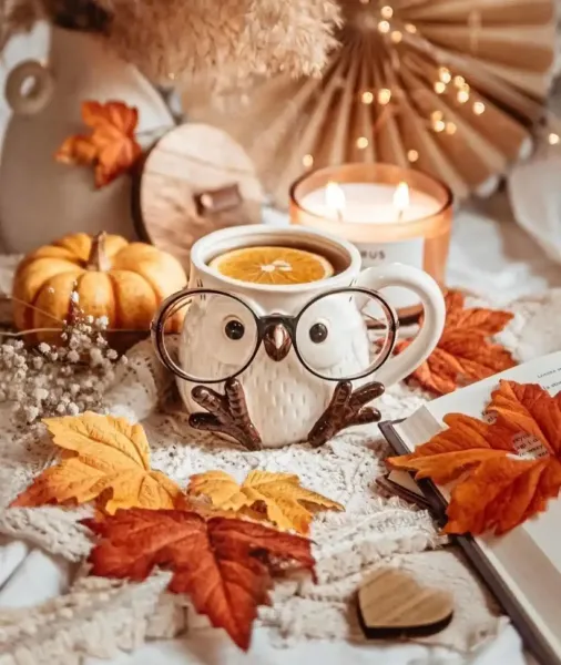  عکس ماگ پاییزی