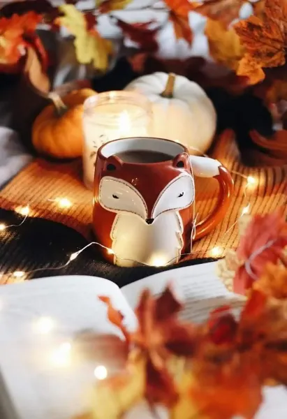  عکس ماگ پاییزی