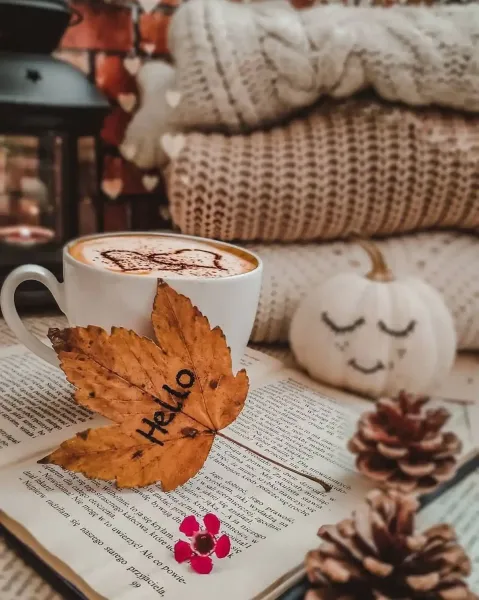  عکس ماگ پاییزی