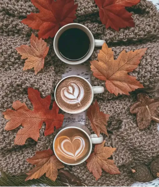  عکس ماگ پاییزی