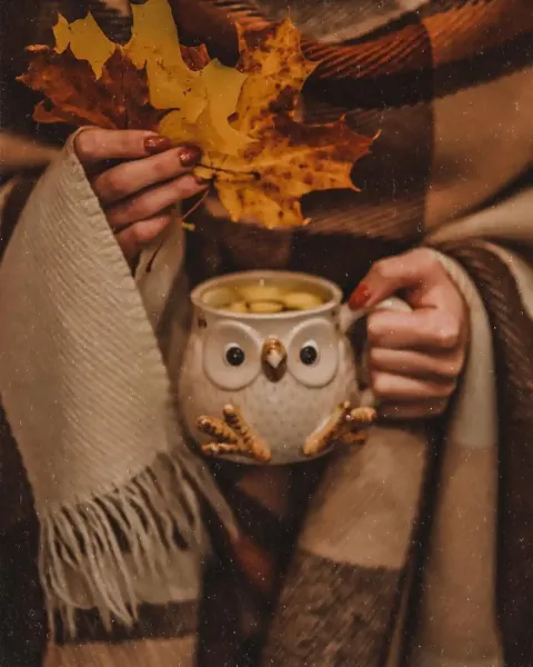  عکس ماگ پاییزی