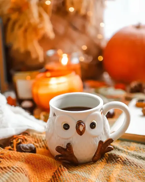  عکس ماگ پاییزی