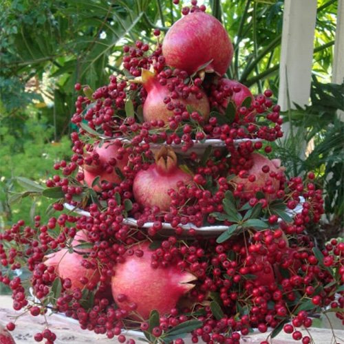  عکس سفره شب یلدا سنتی