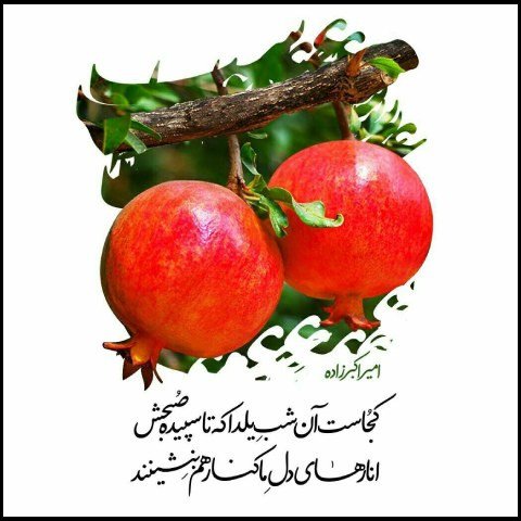  عکس پروفایل شب یلدا عاشقانه