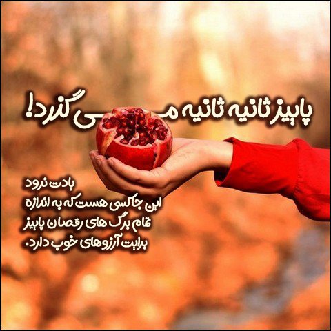  عکس تبریک شب یلدا عاشقانه