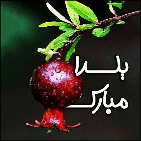  عکس تبریک شب یلدا عاشقانه