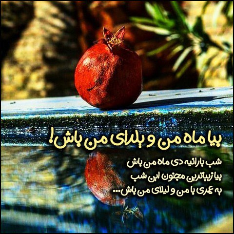  عکس تبریک شب یلدا عاشقانه