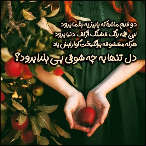  عکس تبریک شب یلدا عاشقانه