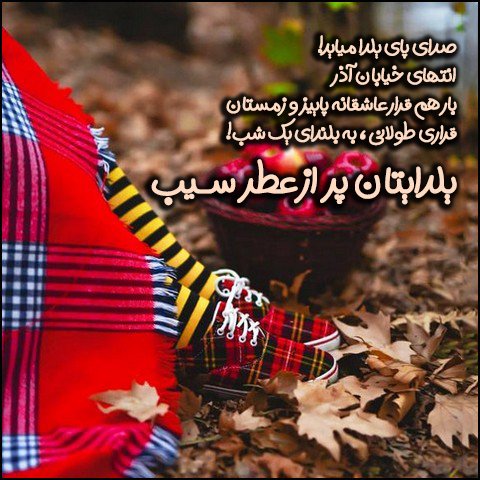  استوری عاشقانه شب یلدا
