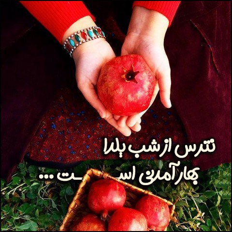 استوری عاشقانه شب یلدا