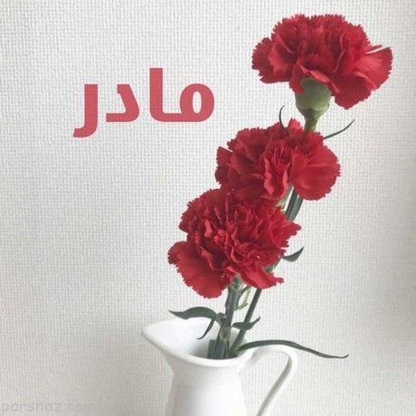  عکس لاکچری روز مادر
