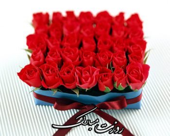  پس زمینه ی روز مادر