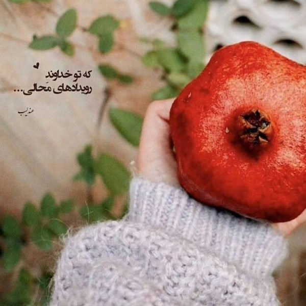  عکس پروفایل شب یلدا دخترانه شیک