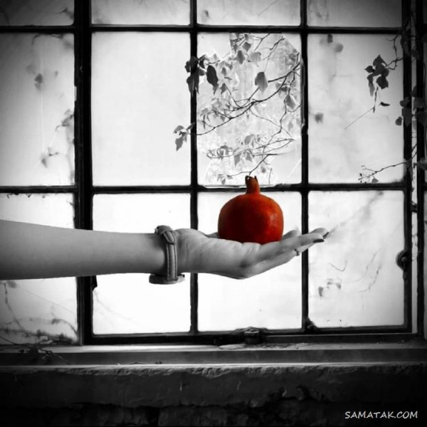  عکس دختر یلدا