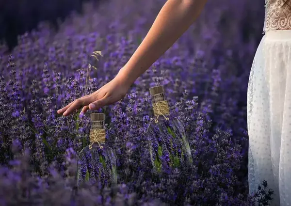  عکس‌ آرامش‌بخش