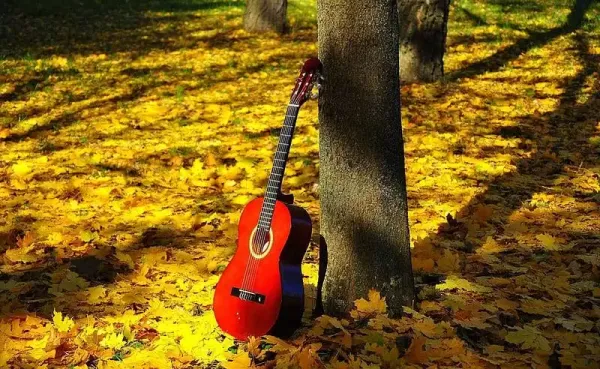  عکس‌ آرامش‌بخش