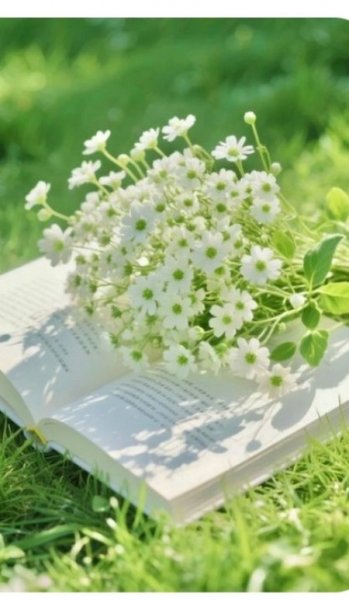  عکس‌ های آرامش‌بخش