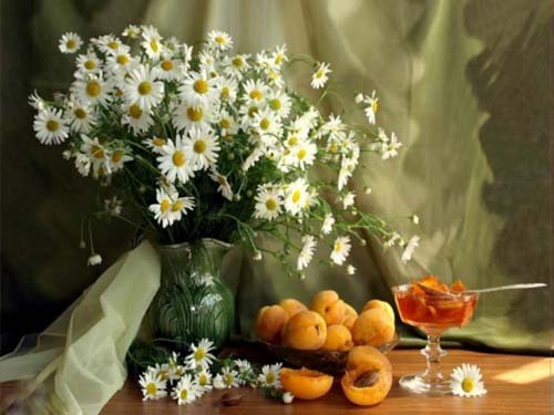  تصاویر آرامش دهنده روح