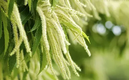  عکس آرامش بخش طبیعت