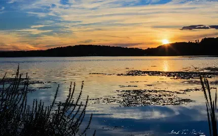  عکس های آرامش بخشی که تا بحال ندیدید
