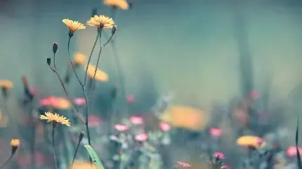  عکس های آرامش بخشی که تا بحال ندیدید