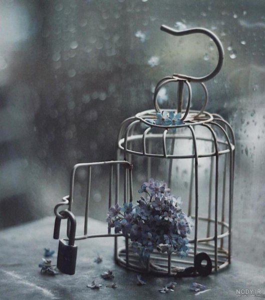  رمانتیک عکس پروفایل آرامش دهنده