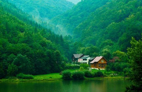  یک عکس آرامش بخش