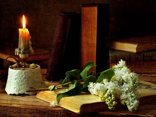  یک عکس آرامش بخش