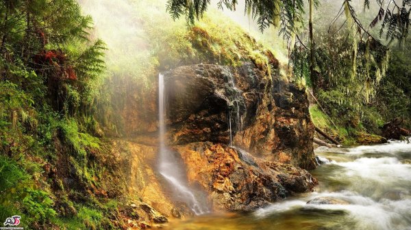 عکس های آرامش بخش برای پروفایل