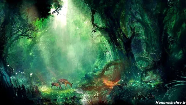  عکس های آرامش بخش زیبا