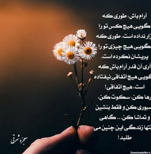  عکس های آرامش بخش کیوت