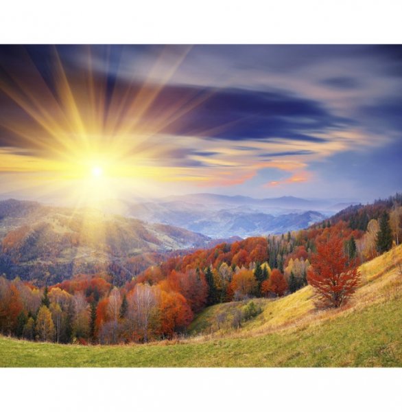  عکس های آرامش بخش کیوت