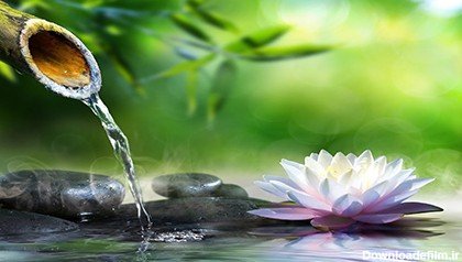  عکس های آرامش بخش کیوت