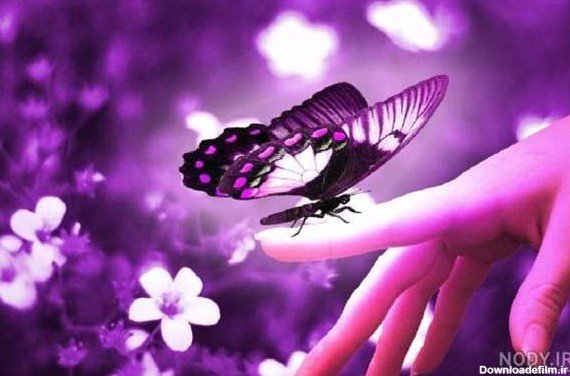  عکس های آرامش بخش کیوت