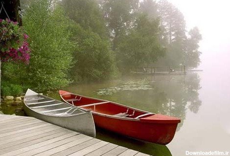  عکس های آرامش بخش کیوت