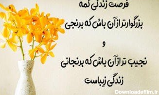  عکس های آرامش بخش کیوت